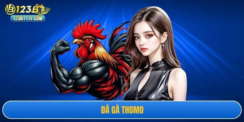 Đá Gà Thomo Có Xem Online Được Không Và Ưu Điểm Là Gì?