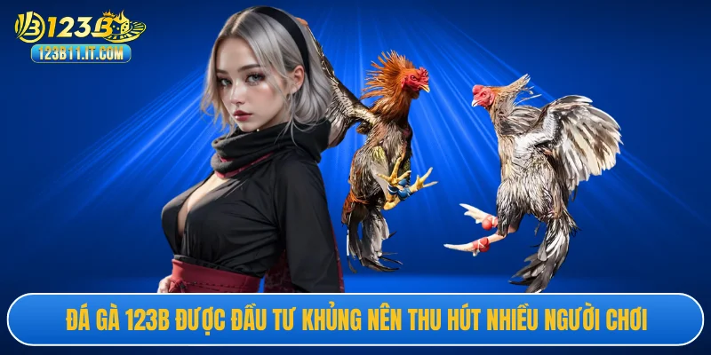 Đá gà 123B được đầu tư khủng nên thu hút nhiều người chơi